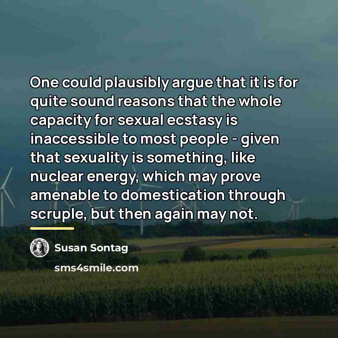 “One could plausibly argue that it is for quite sound…” quote by Susan Sontag
