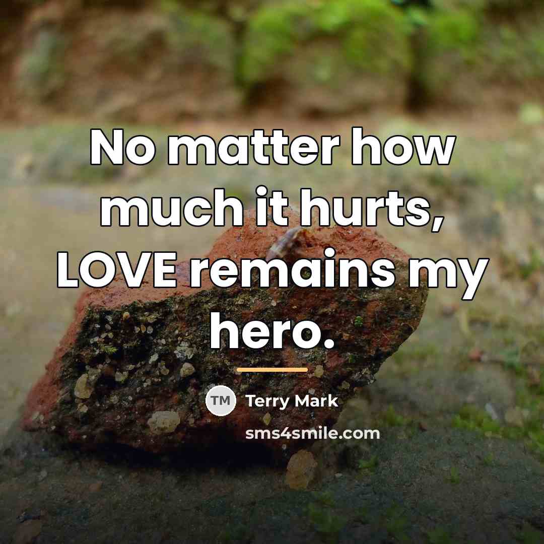 “No matter how much it hurts, LOVE remains my hero.…” quote by Terry Mark