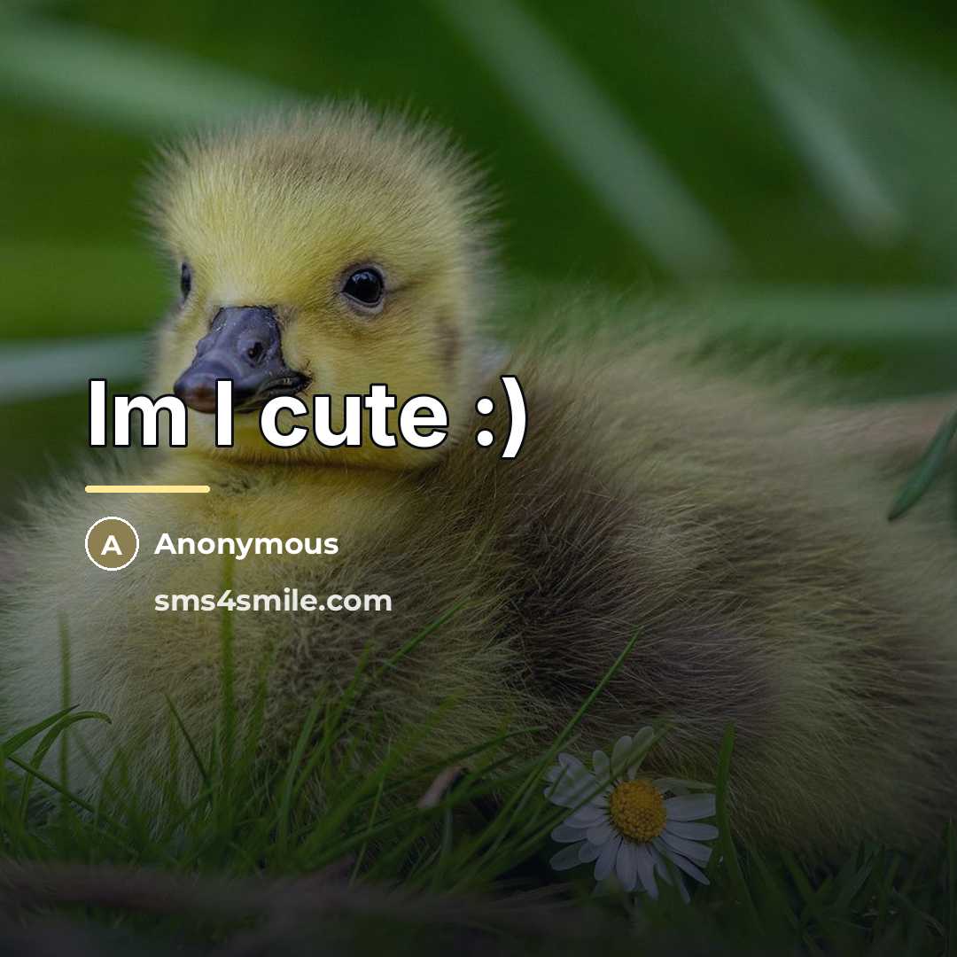 “Im I cute :)…” quote by Anonymous