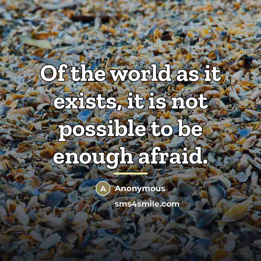 “Of the world as it exists, it is not possible…” quote by Anonymous