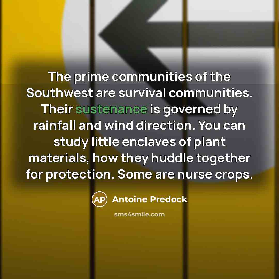 “The prime communities of the Southwest are survival communities. Their…” quote by Antoine Predock