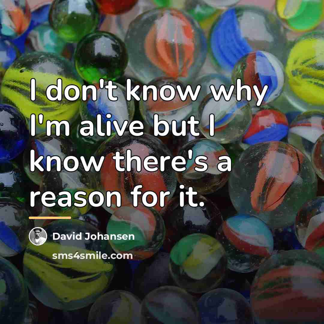 “I don't know why I'm alive but I know there's…” quote by David Johansen