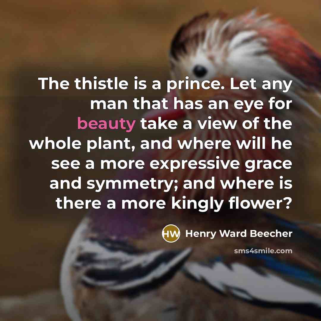 “The thistle is a prince. Let any man that has…” quote by Henry Ward Beecher