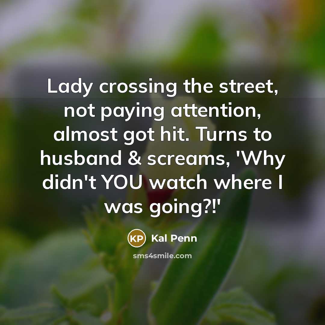 “Lady crossing the street, not paying attention, almost got hit. Turns to husband & screams, 'Why didn't YOU watch where I was going?!'” quote by Kal Penn