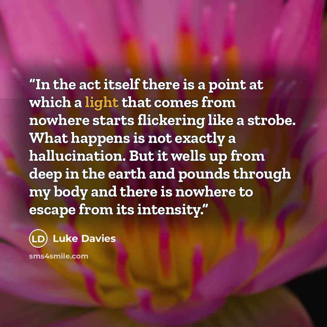 “In the act itself there is a point at which a light that comes from nowhere starts flickering like a strobe. What happens is not exactly a hallucination. But it wells up from deep in the earth and pounds through my body and there is nowhere to escape from its intensity.” quote by Luke Davies