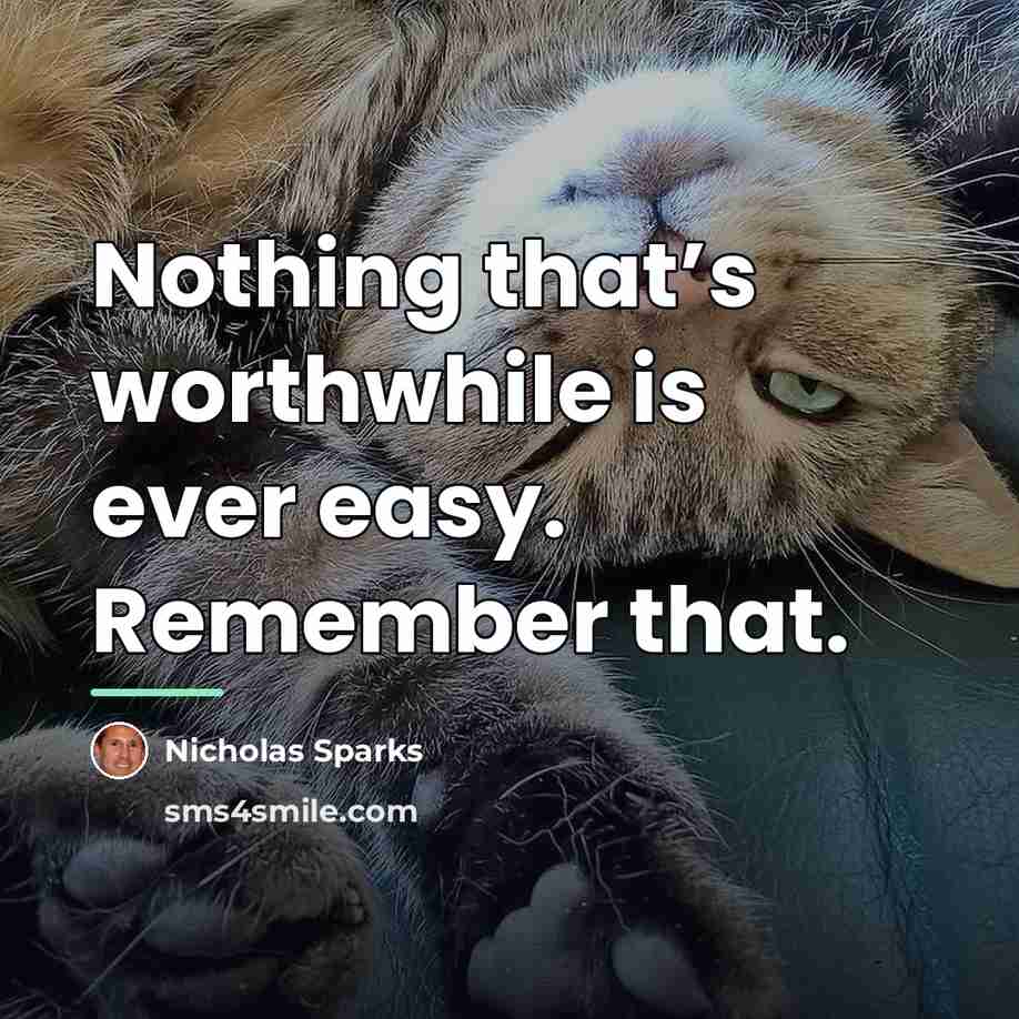 “Nothing that’s worthwhile is ever easy. Remember that.…” quote by Nicholas Sparks