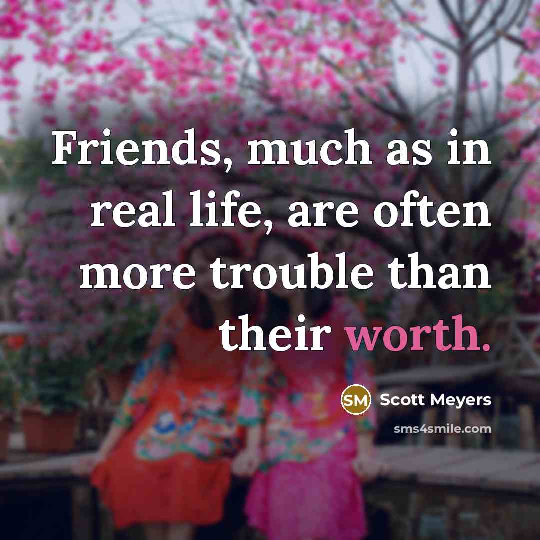 “Friends, much as in real life, are often more trouble…” quote by Scott Meyers