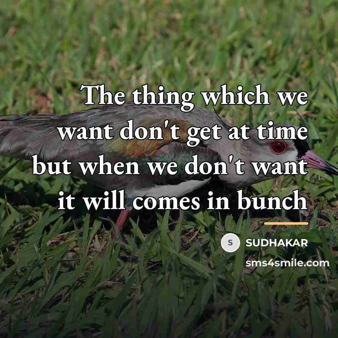 “The thing which we want don't get at time but…” quote by Sudhakar