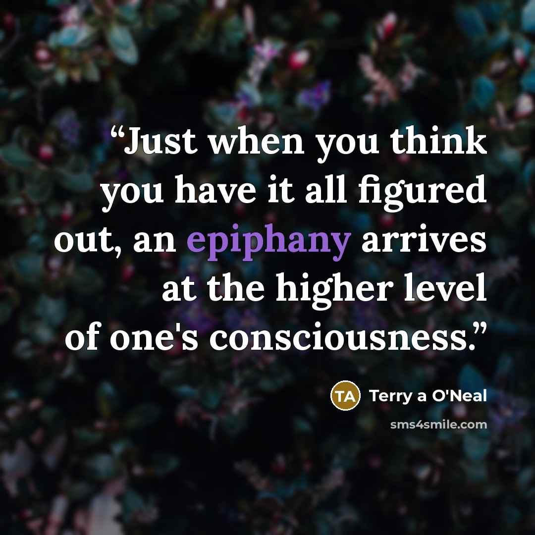“Just when you think you have it all figured out, an epiphany arrives at the higher level of one's consciousness.” quote by Terry a O'Neal