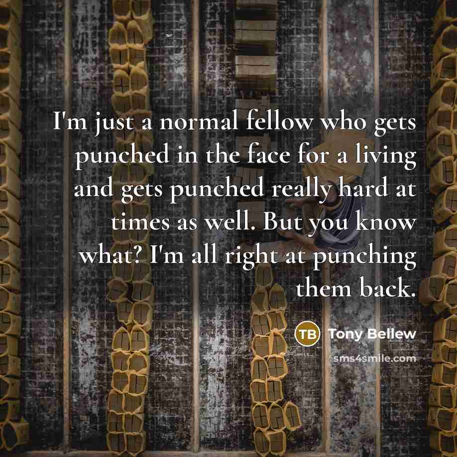 “I'm just a normal fellow who gets punched in the…” quote by Tony Bellew