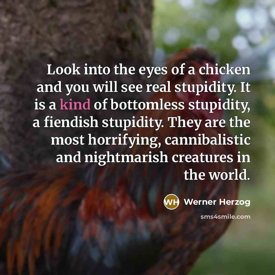 “Look into the eyes of a chicken and you will…” quote by Werner Herzog