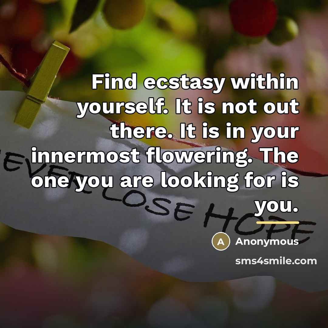 “Find ecstasy within yourself. It is not out there. It…” quote by Anonymous
