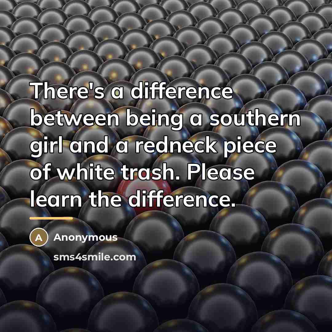 “There's a difference between being a southern girl and a…” quote by Anonymous