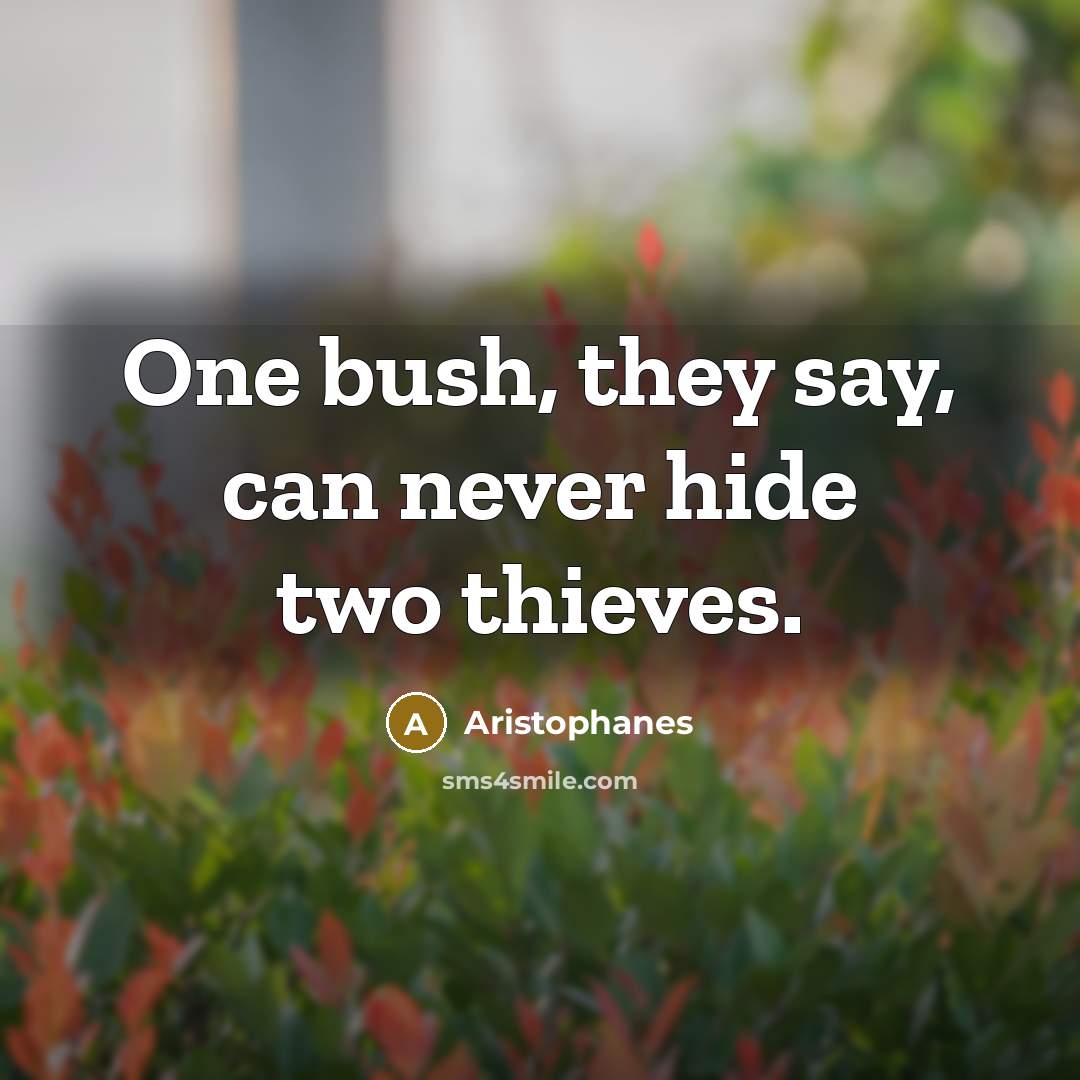 “One bush, they say, can never hide two thieves.…” quote by Aristophanes