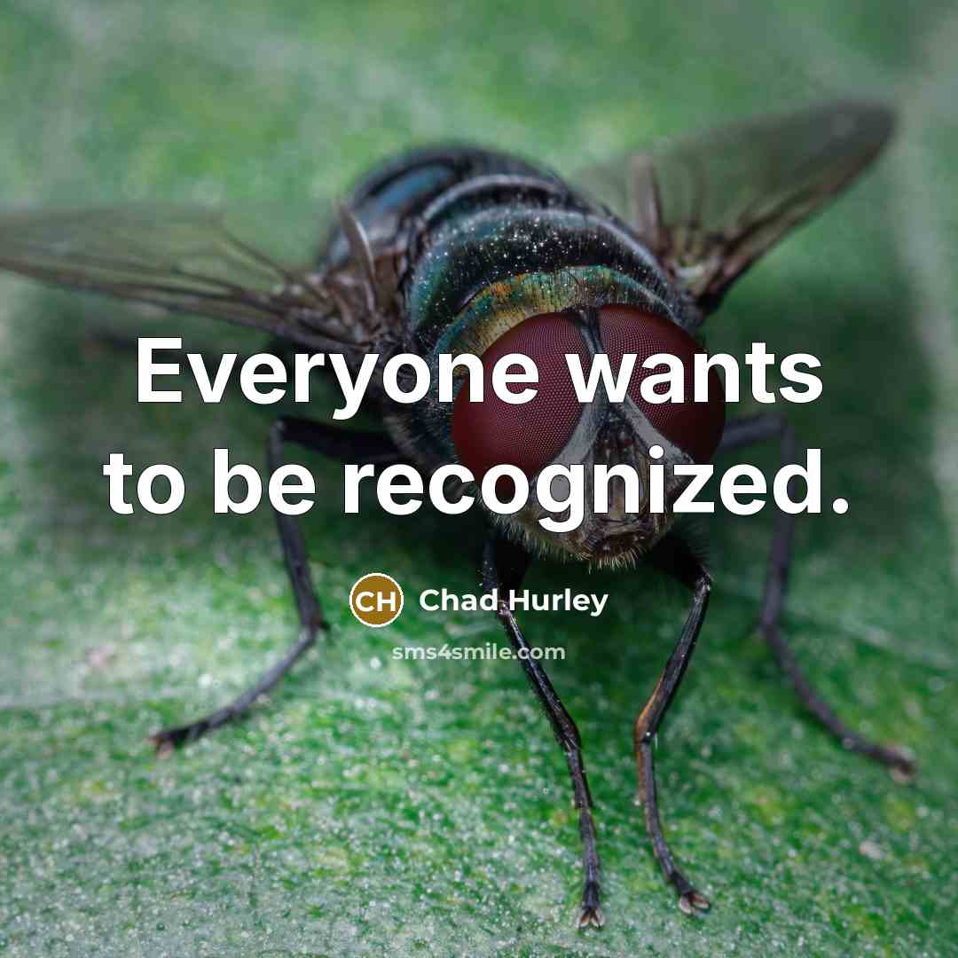 “Everyone wants to be recognized.…” quote by Chad Hurley