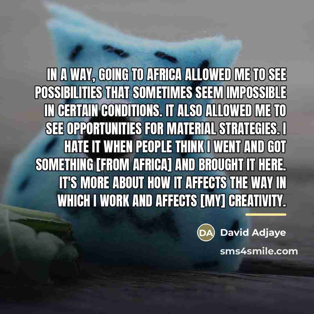 “In a way, going to Africa allowed me to see…” quote by David Adjaye