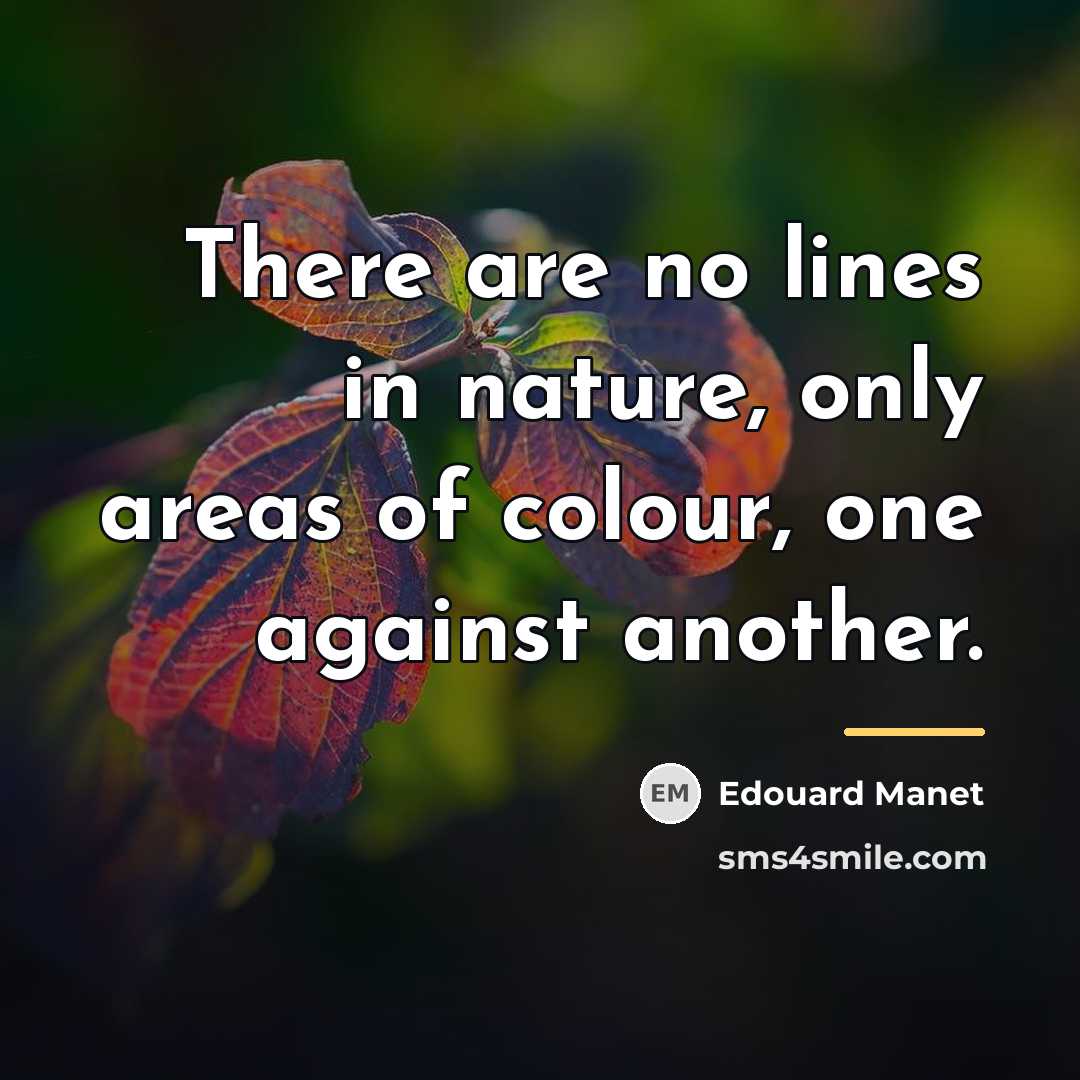 “There are no lines in nature, only areas of colour,…” quote by Edouard Manet