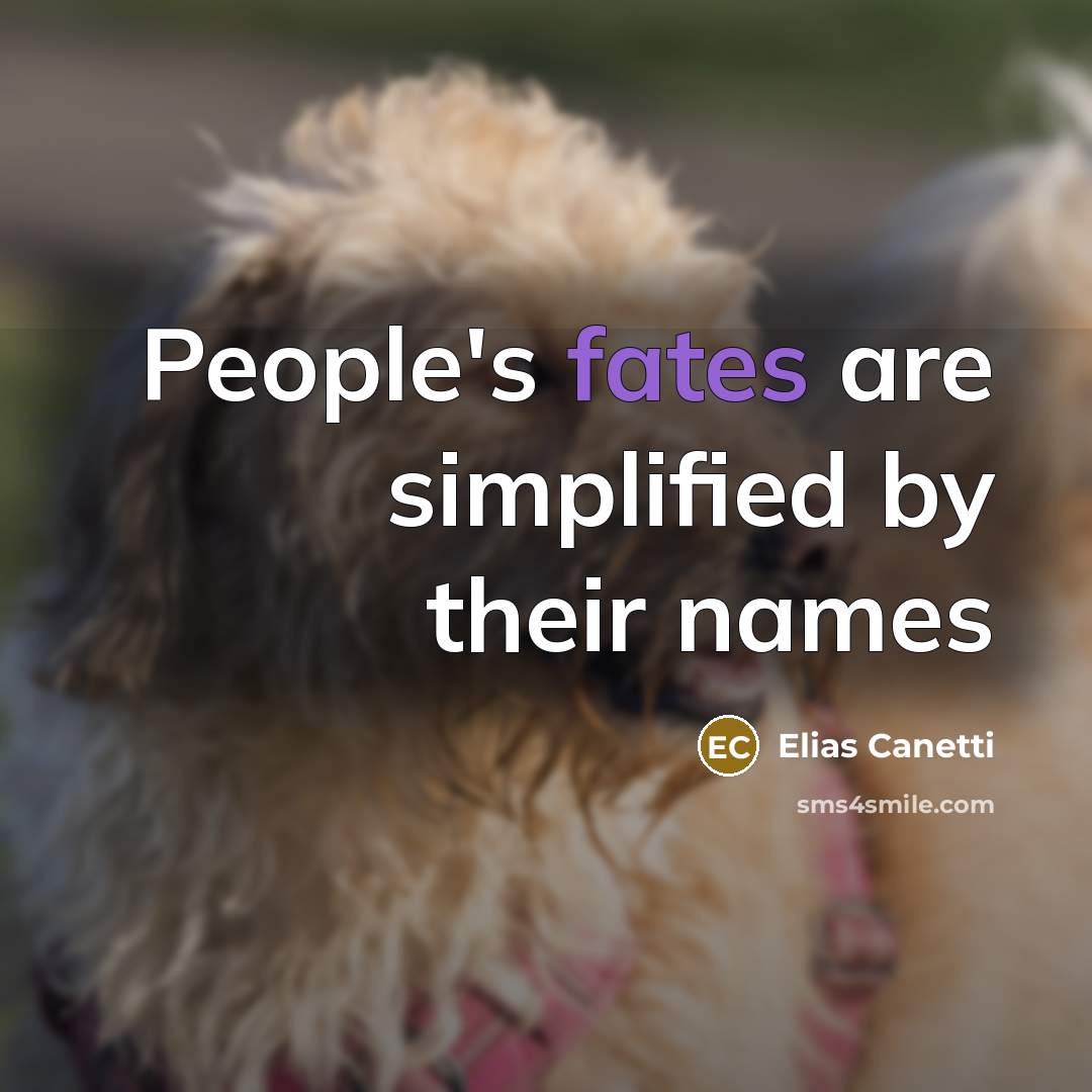 “People's fates are simplified by their names…” quote by Elias Canetti
