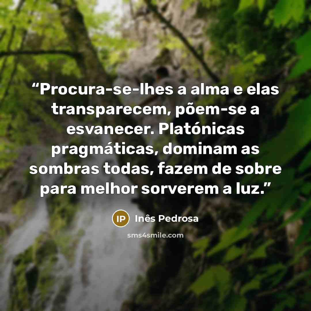 “Procura-se-lhes a alma e elas transparecem, põem-se a esvanecer. Platónicas pragmáticas, dominam as sombras todas, fazem de sobre para melhor sorverem a luz.” quote by Inês Pedrosa