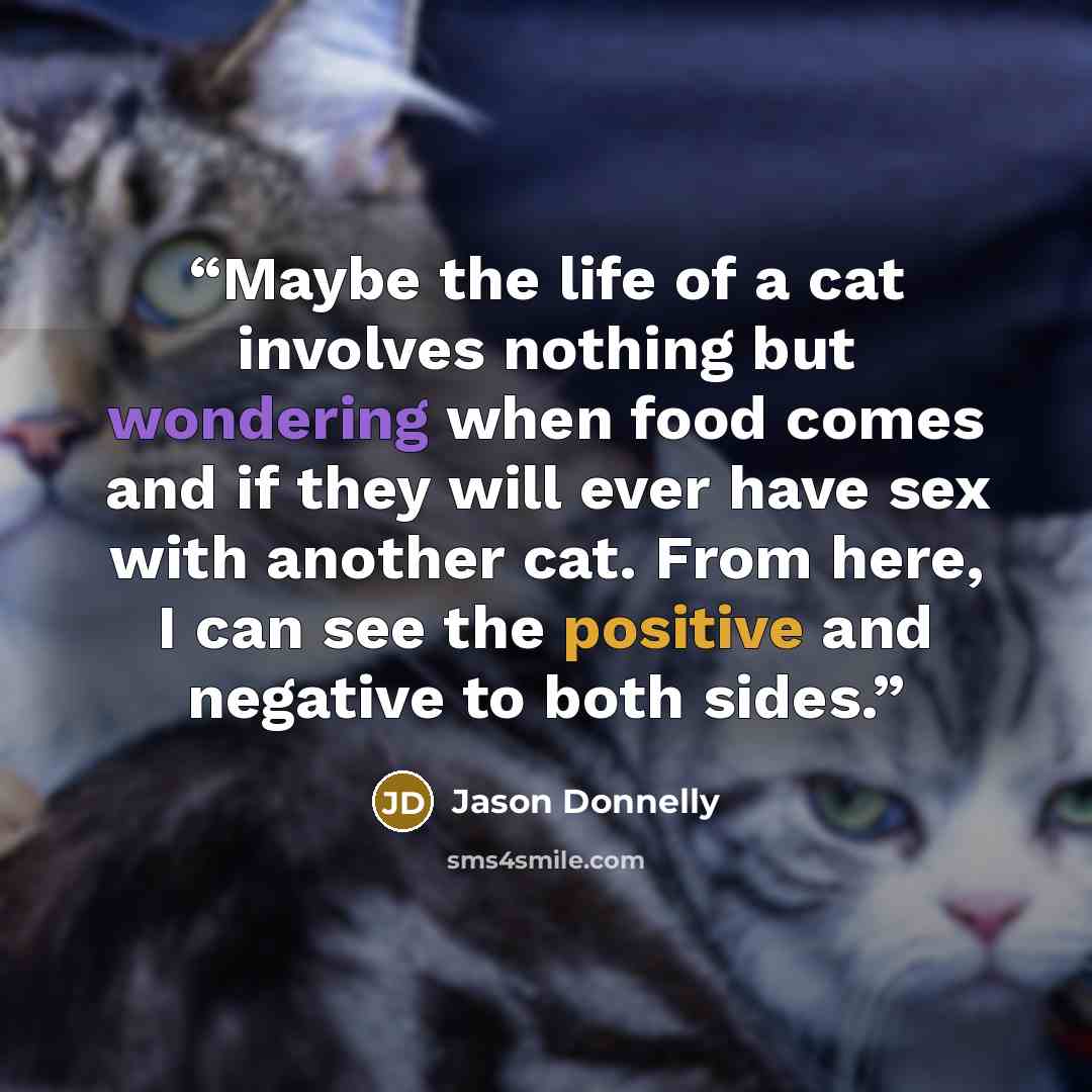 “Maybe the life of a cat involves nothing but wondering when food comes and if they will ever have sex with another cat. From here, I can see the positive and negative to both sides.” quote by Jason Donnelly