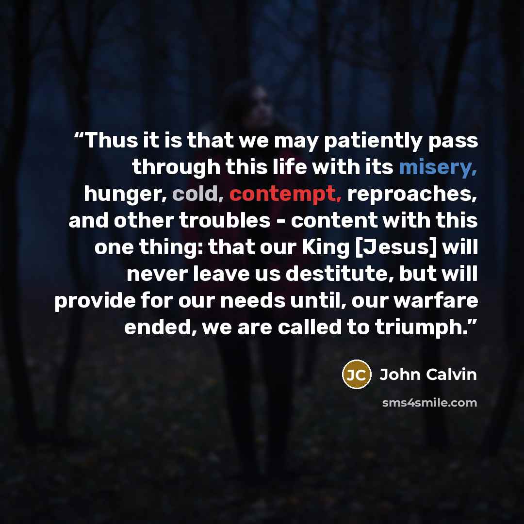 “Thus it is that we may patiently pass through this life with its misery, hunger, cold, contempt, reproaches, and other troubles - content with this one thing: that our King [Jesus] will never leave us destitute, but will provide for our needs until, our warfare ended, we are called to triumph.” quote by John Calvin
