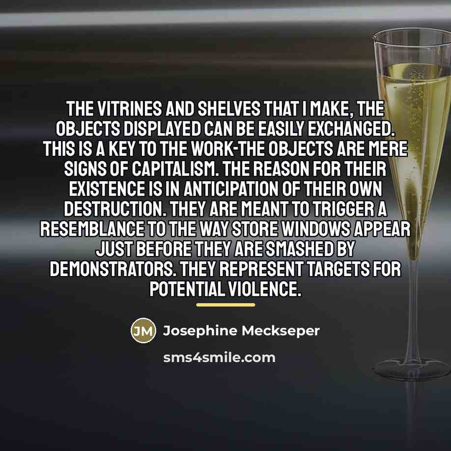 “The vitrines and shelves that I make, the objects displayed…” quote by Josephine Meckseper