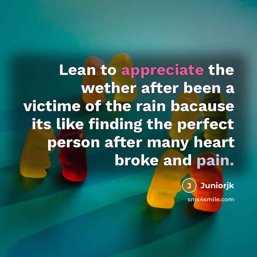 “Lean to appreciate the wether after been a victime of the rain bacause its like finding the perfect person after many heart broke and pain.” quote by Juniorjk