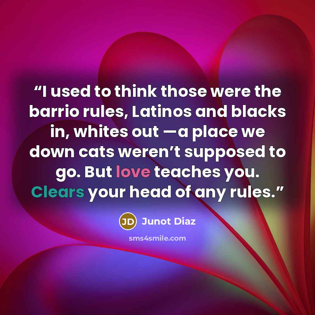 “I used to think those were the barrio rules, Latinos and blacks in, whites out —a place we down cats weren’t supposed to go. But love teaches you. Clears your head of any rules.” quote by Junot Díaz