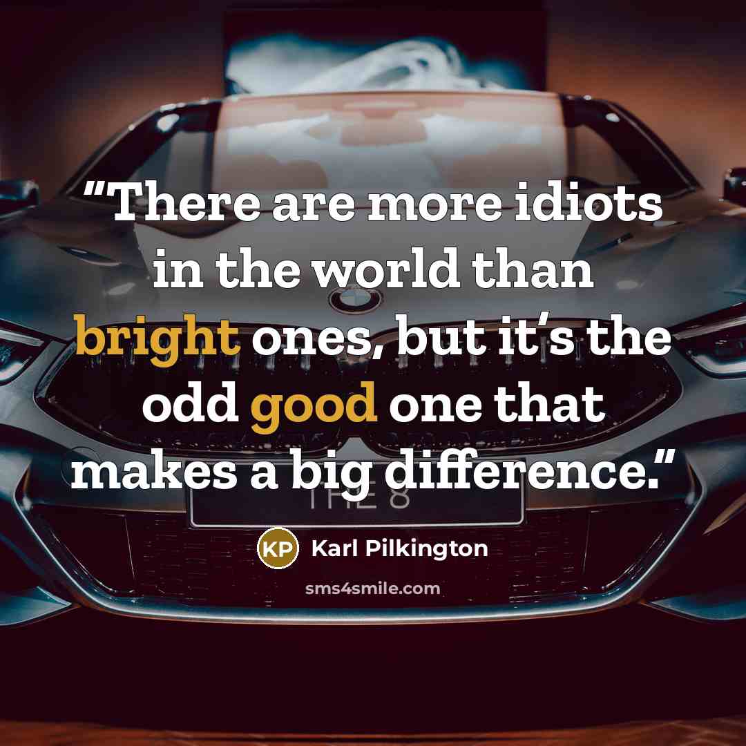 “There are more idiots in the world than bright ones, but it’s the odd good one that makes a big difference.” quote by Karl Pilkington