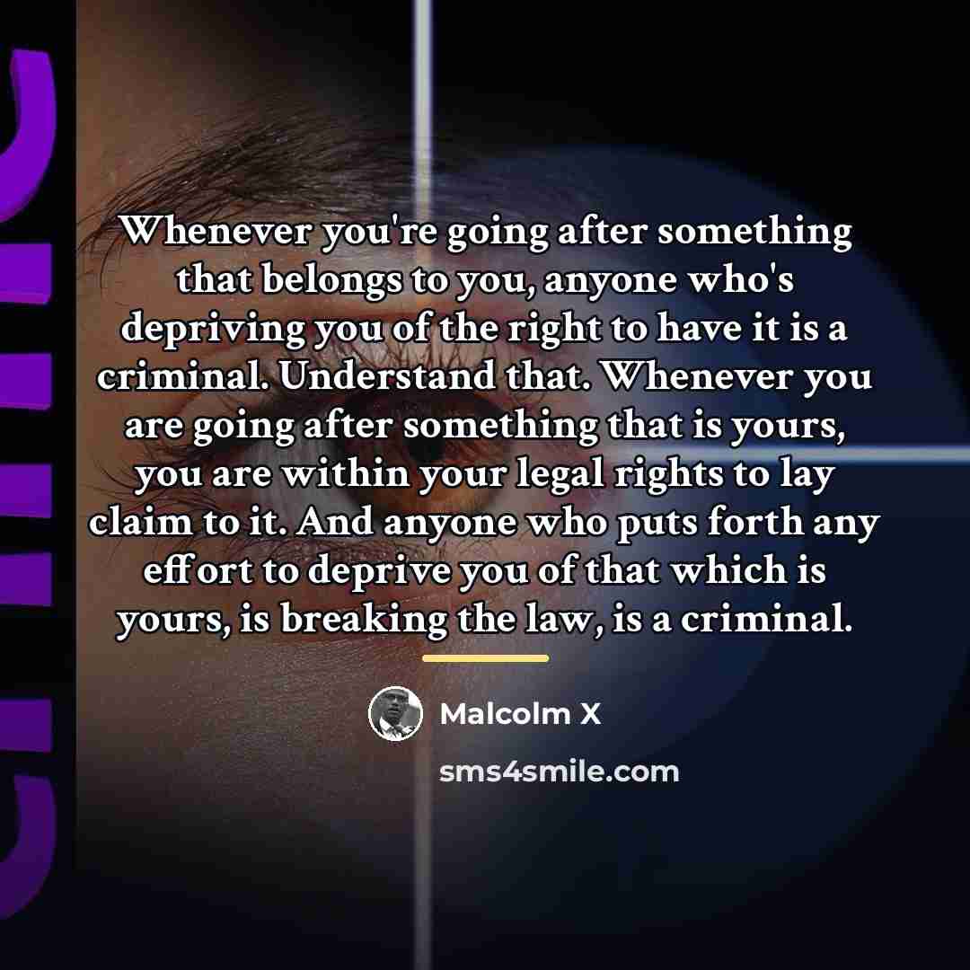 “Whenever you're going after something that belongs to you, anyone…” quote by Malcolm X