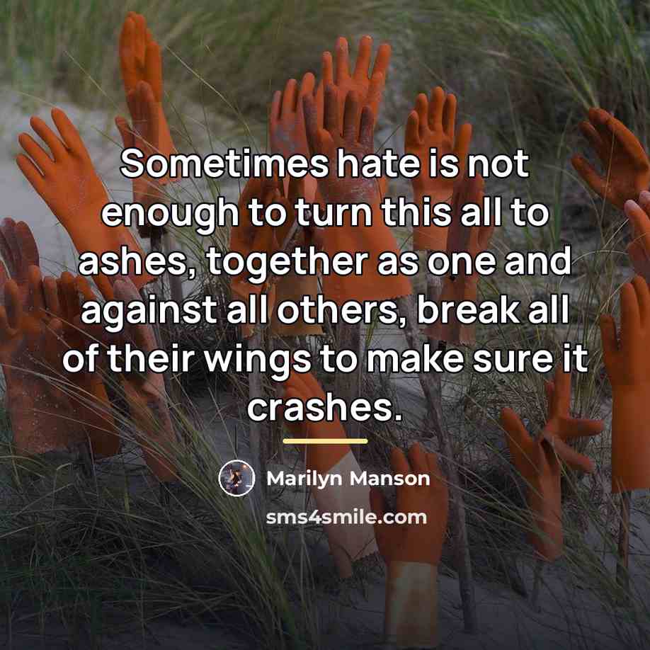 “Sometimes hate is not enough to turn this all to…” quote by Marilyn Manson