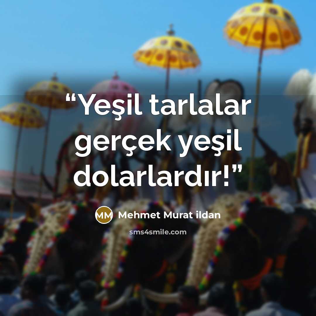 “Yeşil tarlalar gerçek yeşil dolarlardır!” quote by Mehmet Murat ildan