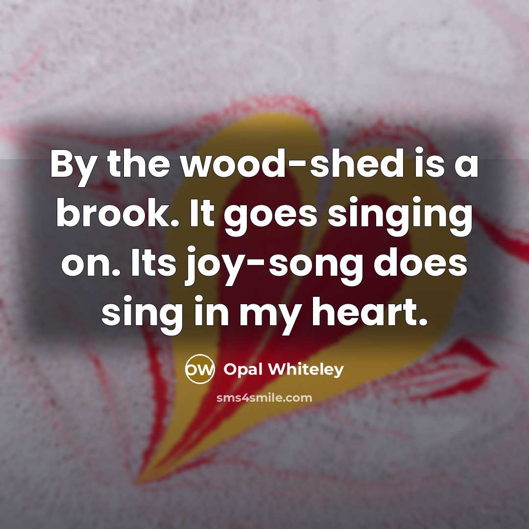 “By the wood-shed is a brook. It goes singing on.…” quote by Opal Whiteley