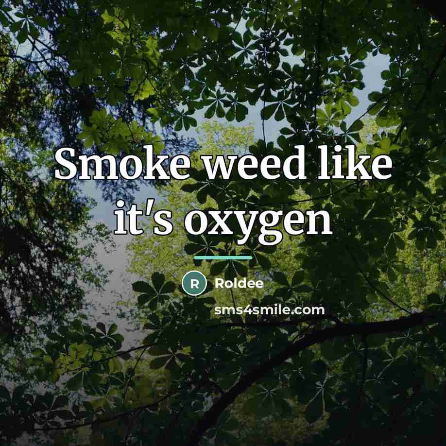 “Smoke weed like it's oxygen…” quote by Roldee