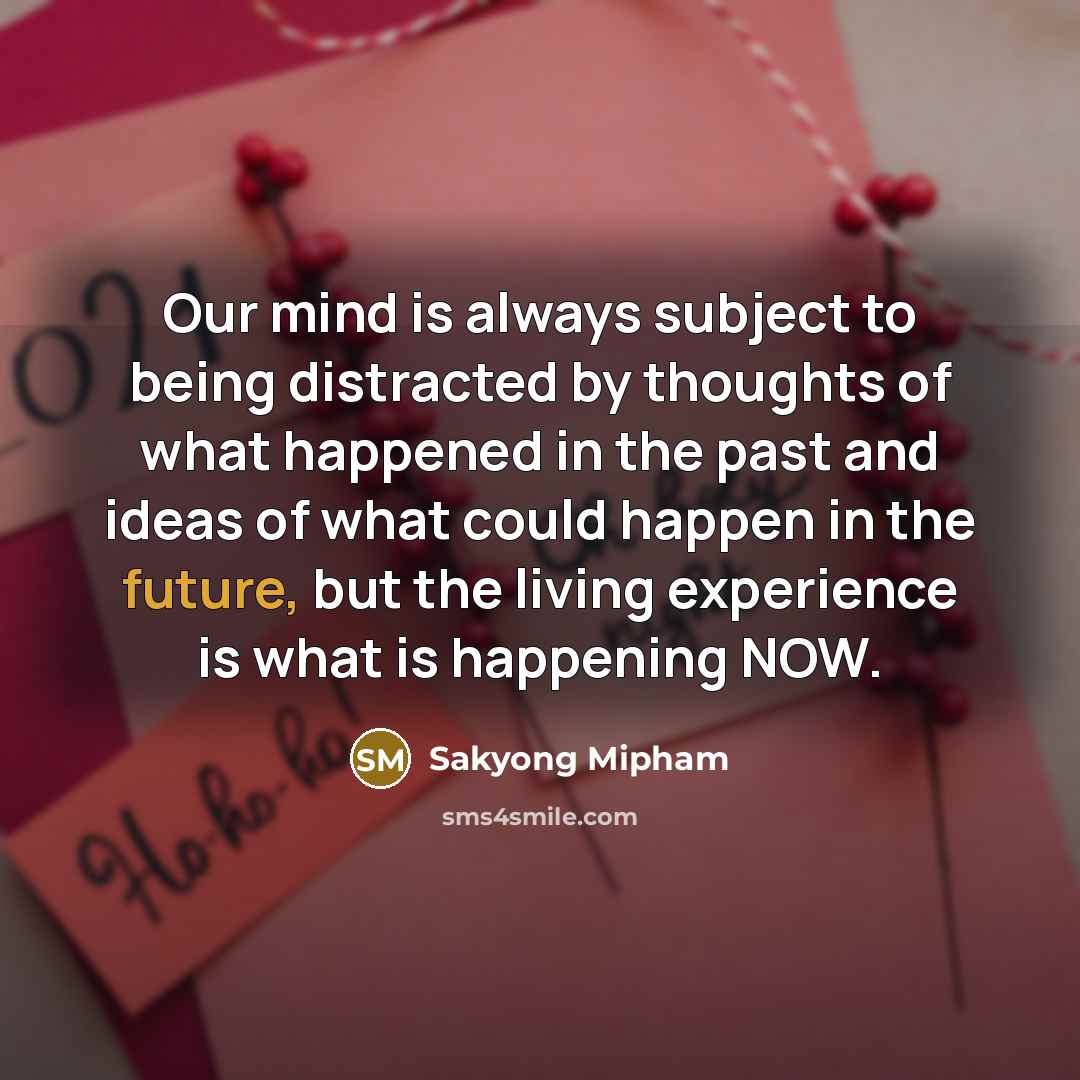 “Our mind is always subject to being distracted by thoughts…” quote by Sakyong Mipham