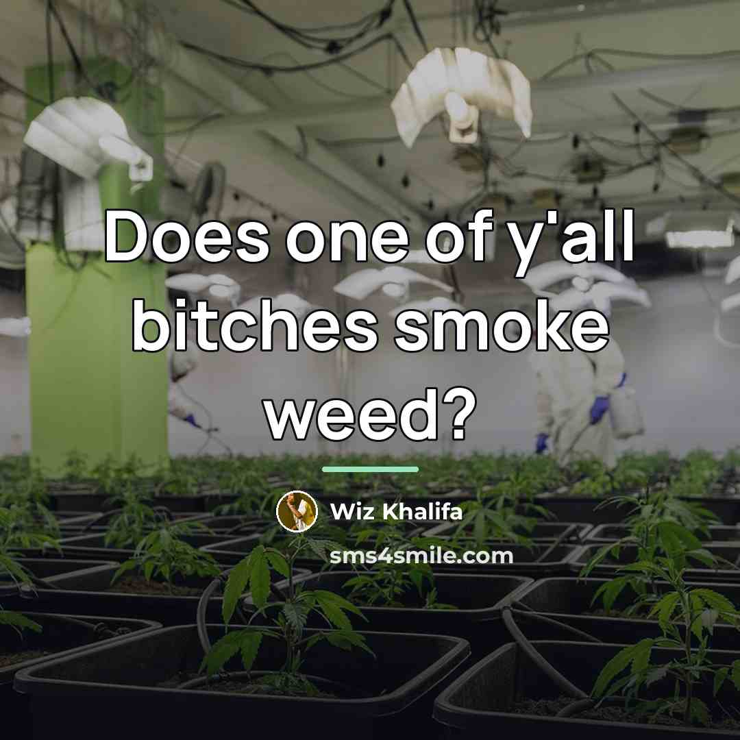 “Does one of y'all bitches smoke weed?…” quote by Wiz Khalifa