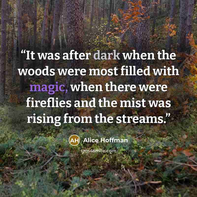 “It was after dark when the woods were most filled with magic, when there were fireflies and the mist was rising from the streams.” quote by Alice Hoffman