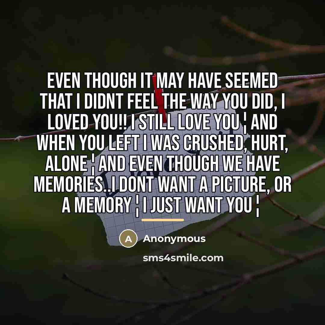 “Even though it may have seemed that I didnt feel…” quote by Anonymous