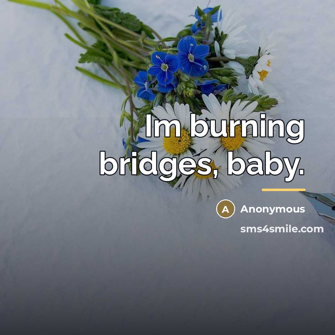 “Im burning bridges, baby.…” quote by Anonymous