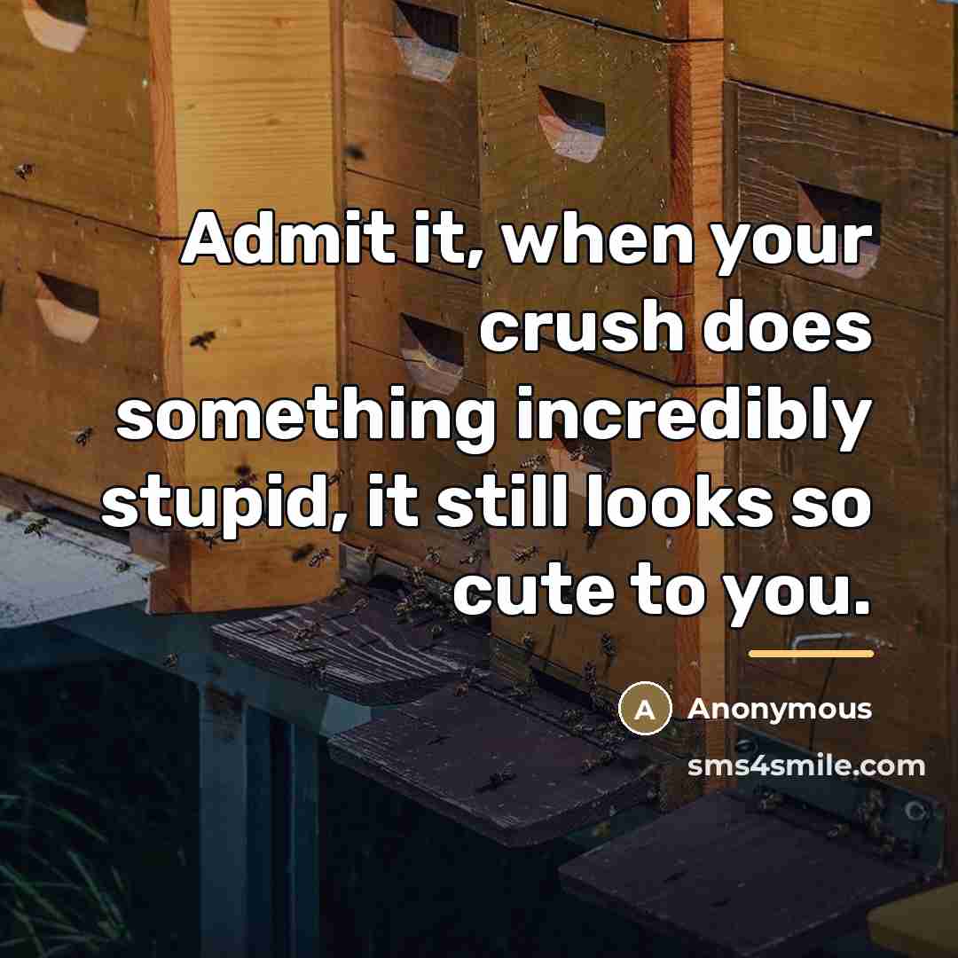 “Admit it, when your crush does something incredibly stupid, it…” quote by Anonymous
