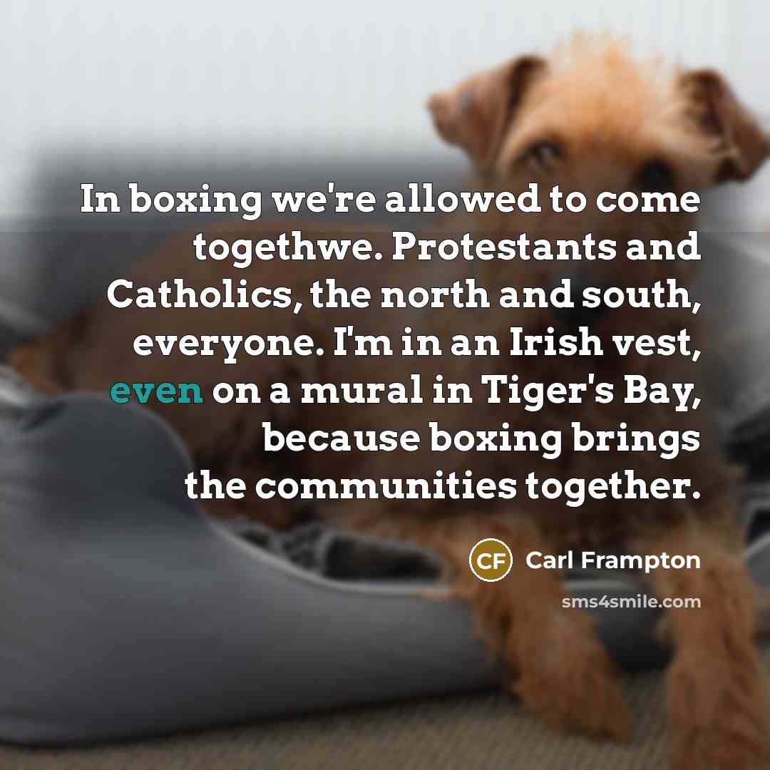 “In boxing we're allowed to come togethwe. Protestants and Catholics,…” quote by Carl Frampton