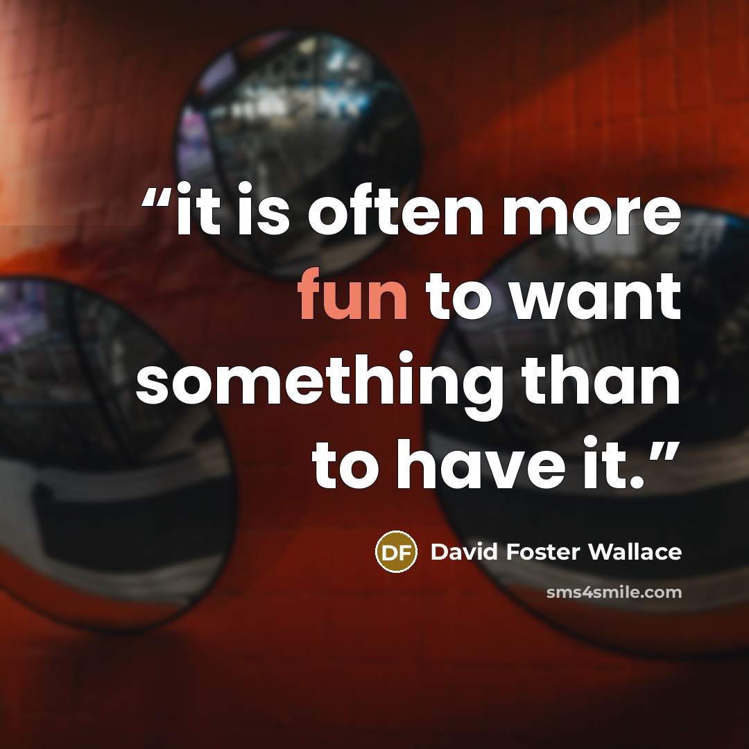 “it is often more fun to want something than to have it.” quote by David Foster Wallace