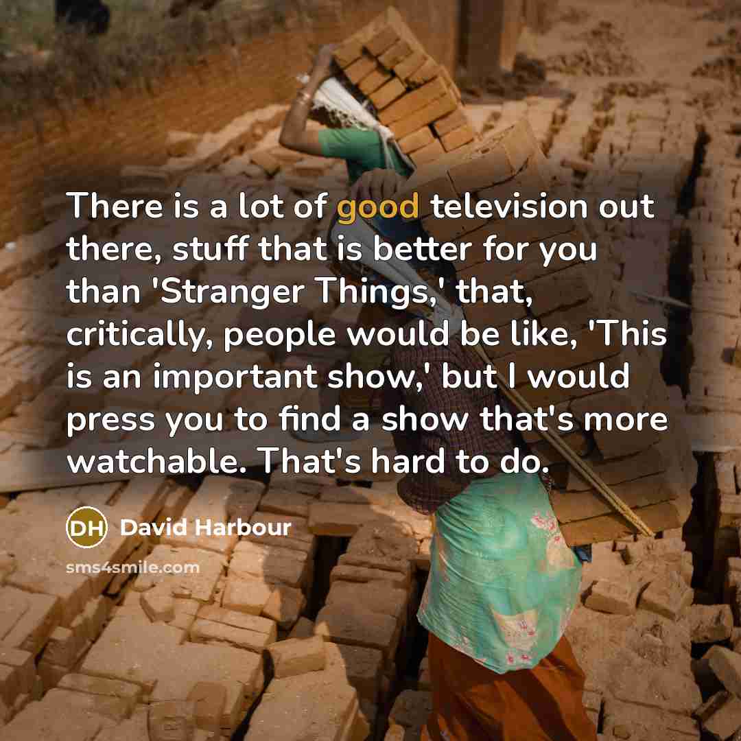 “There is a lot of good television out there, stuff…” quote by David Harbour