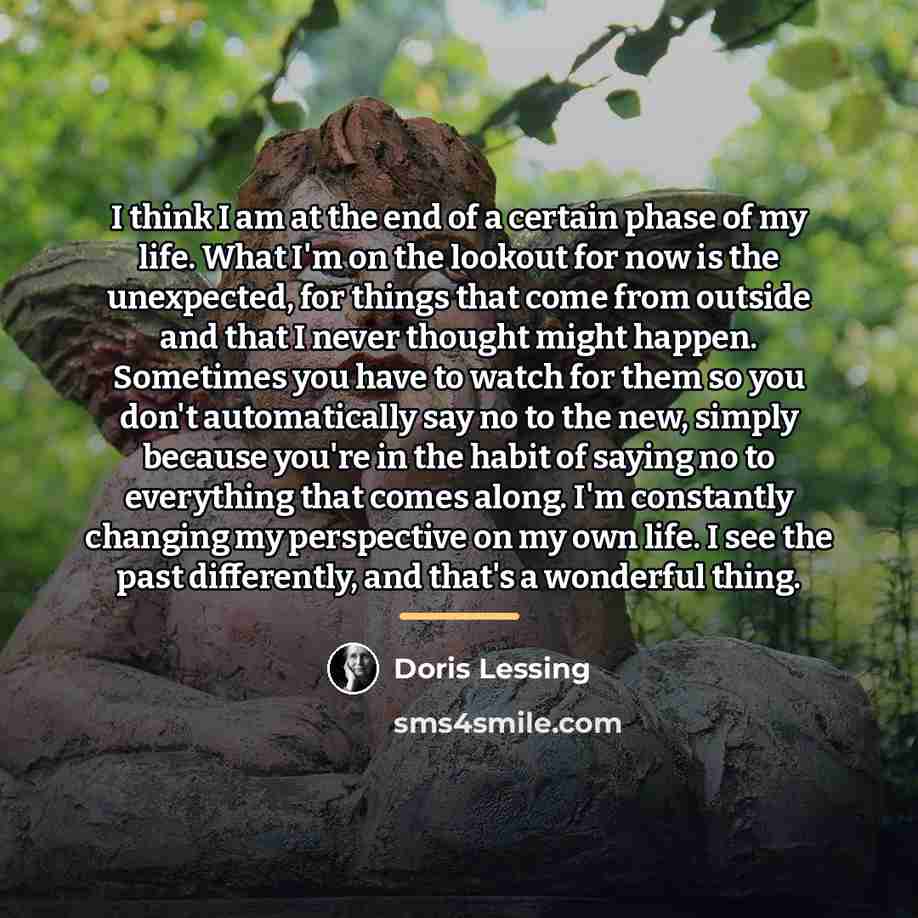 “I think I am at the end of a certain…” quote by Doris Lessing