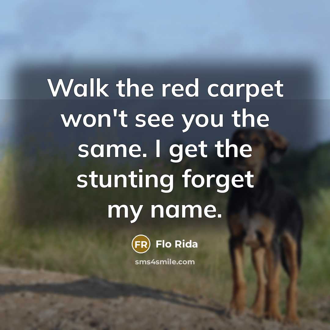 “Walk the red carpet won't see you the same. I…” quote by Flo Rida