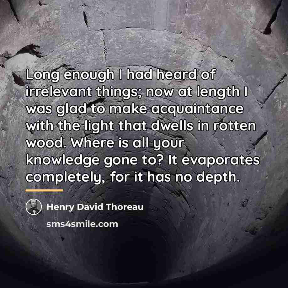 “Long enough I had heard of irrelevant things; now at…” quote by Henry David Thoreau