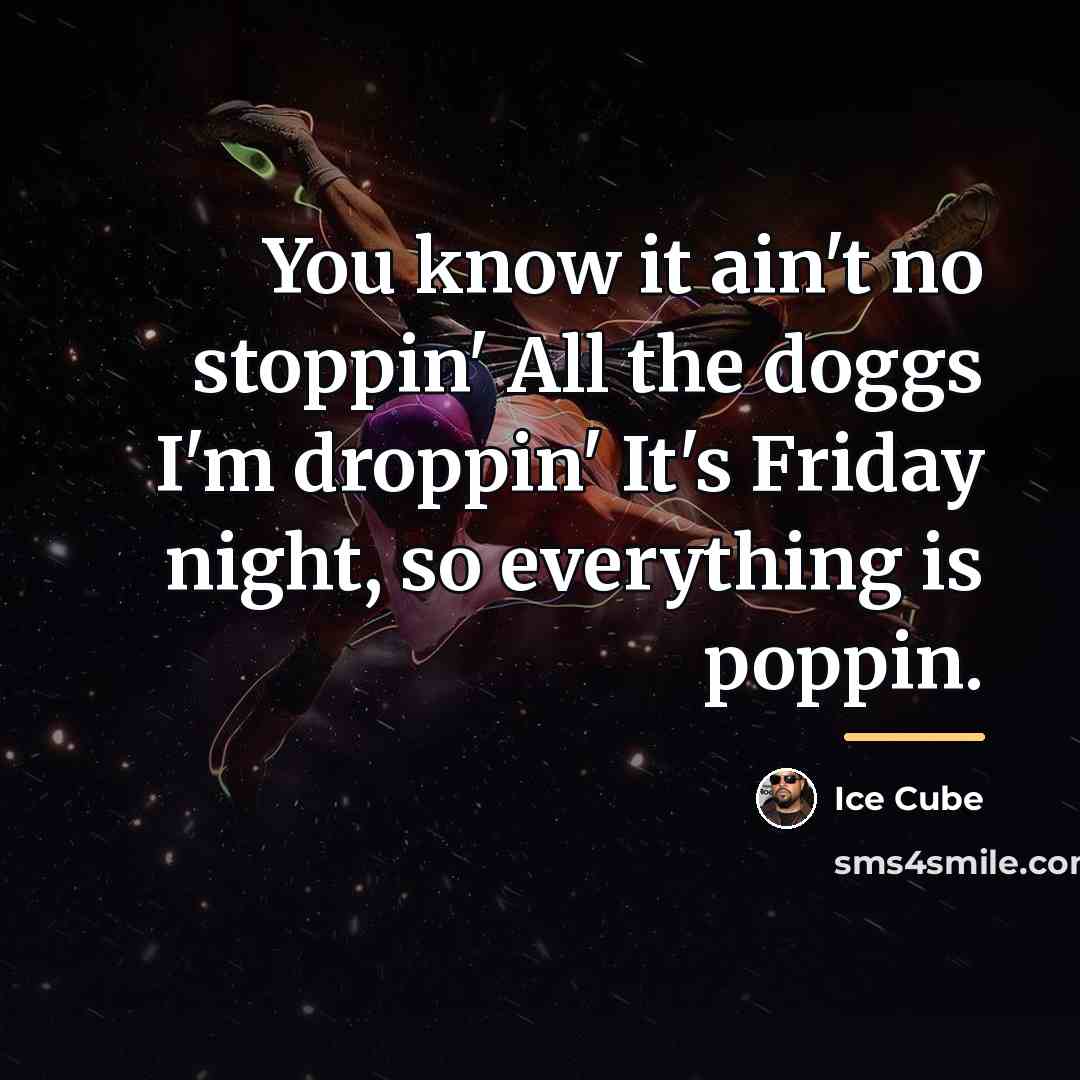 “You know it ain't no stoppin' All the doggs I'm…” quote by Ice Cube