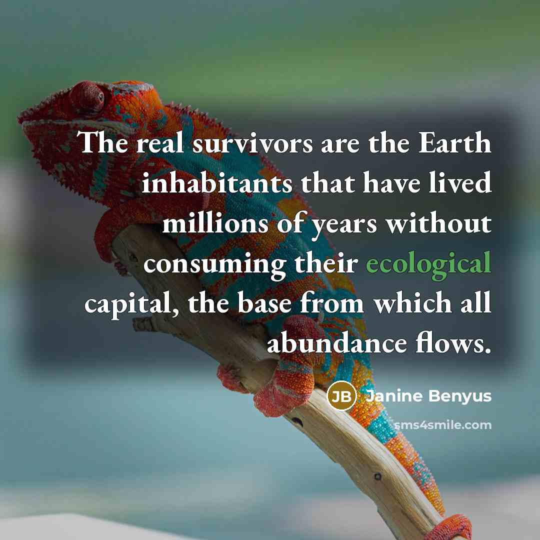 “The real survivors are the Earth inhabitants that have lived…” quote by Janine Benyus