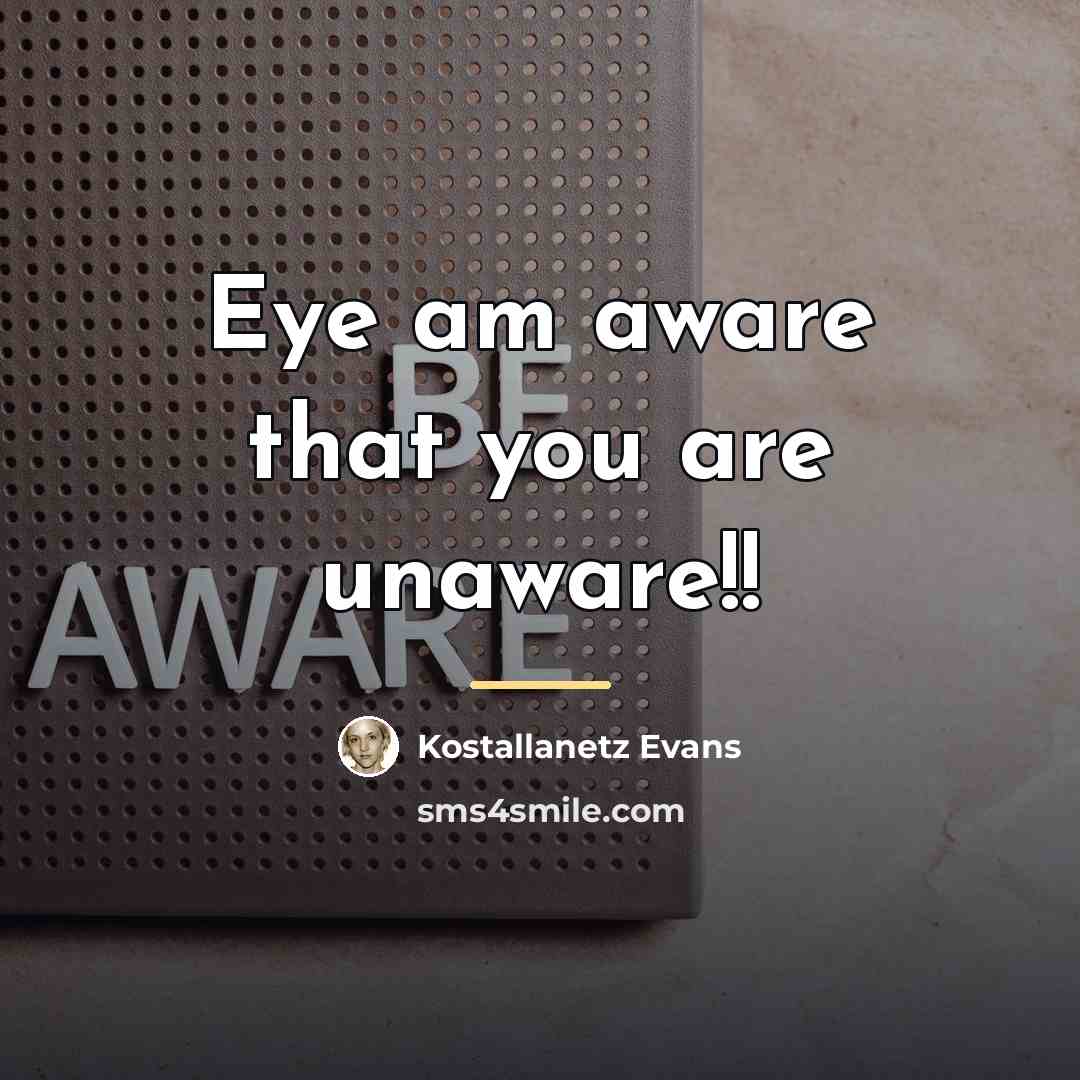 “Eye am aware that you are unaware!!…” quote by Kostallanetz Evans
