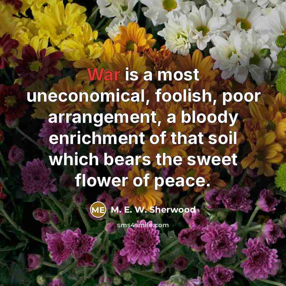 “War is a most uneconomical, foolish, poor arrangement, a bloody…” quote by M. E. W. Sherwood